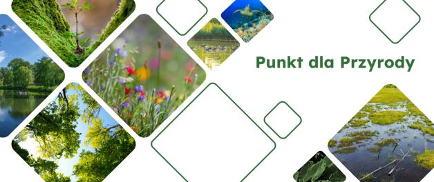 Punkt dla Przyrody- wystartowała nowa forma wsparcia dla instytucji i organizacji